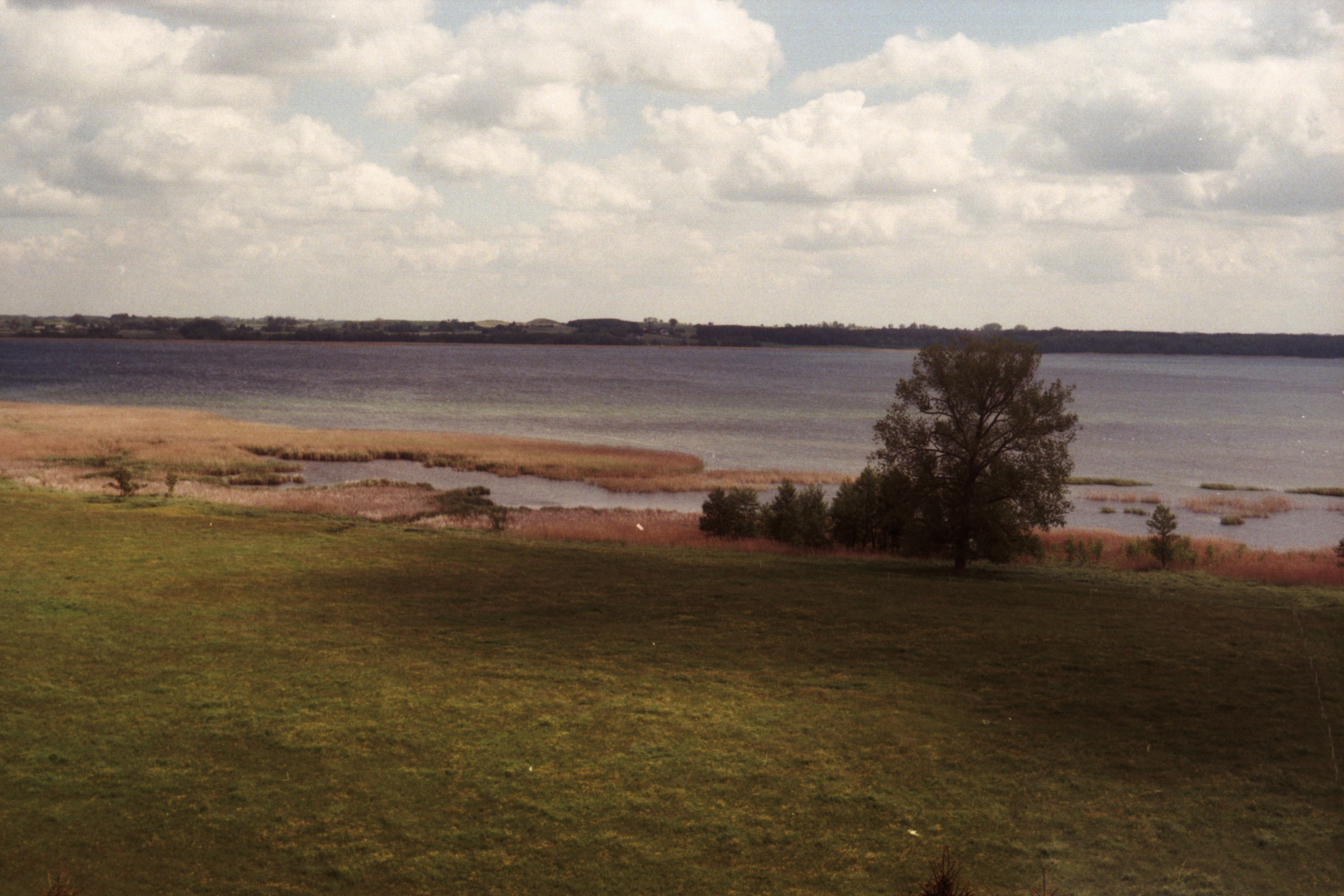 Scan10451_3000